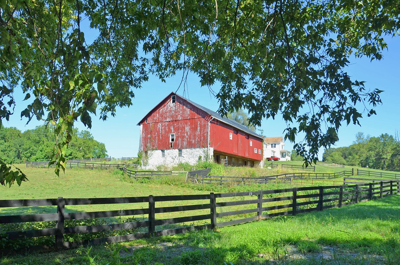 Farm Free Loudoun Loudoun Progress